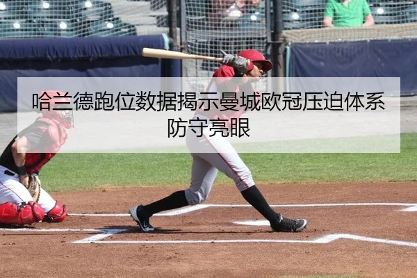 ha-lan-de-pao-wei-shu-ju-jie-shi-man-cheng-ou-guan-ya-po-ti-xi-fang-shou-liang-yan-2-926.jpg