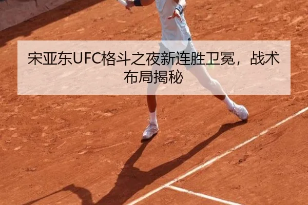 宋亚东UFC格斗之夜新连胜卫冕，战术布局揭秘